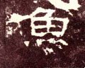 汉《张迁碑》-碑帖: 鱼